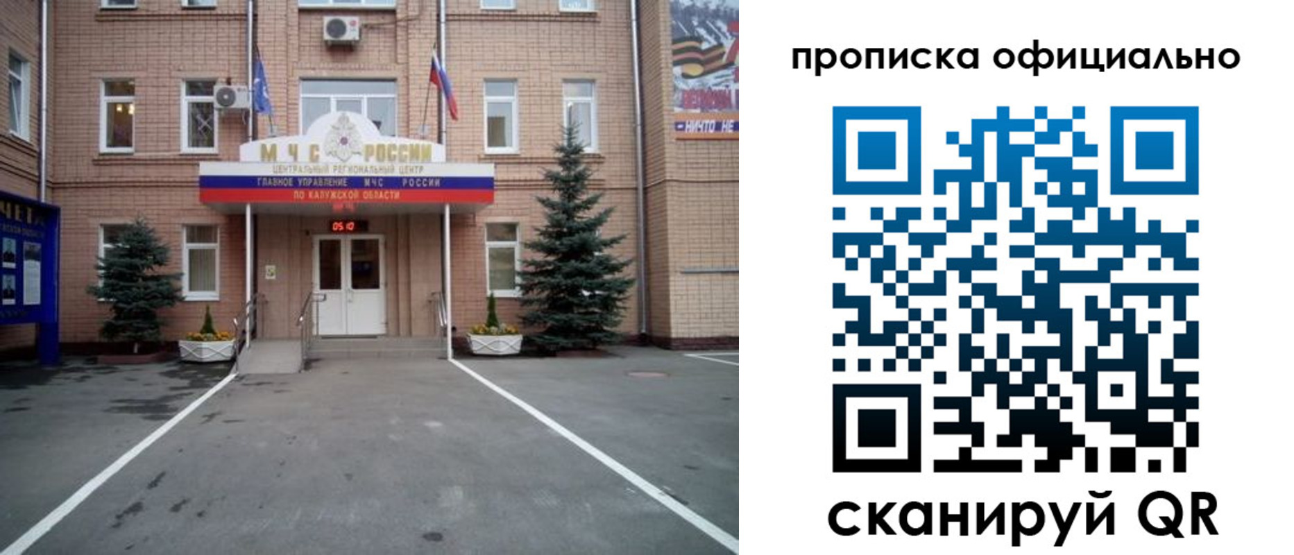 прописка для школы в Павловске
